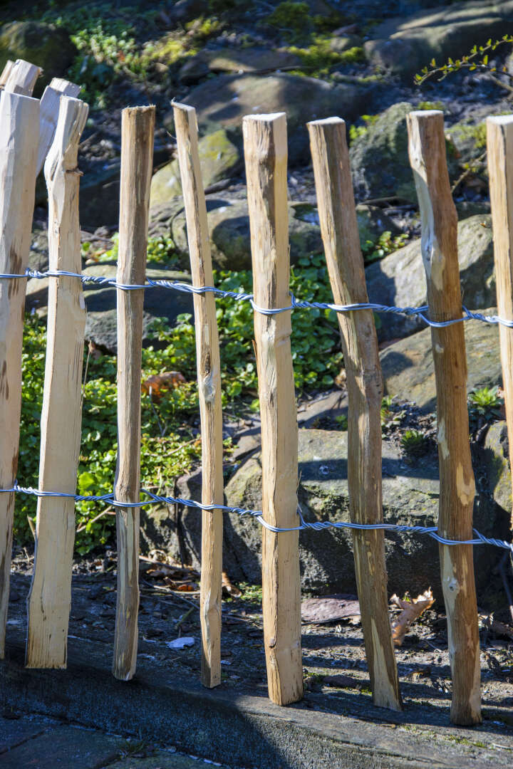 dobar Rankgitter-Spalier Haselnuss